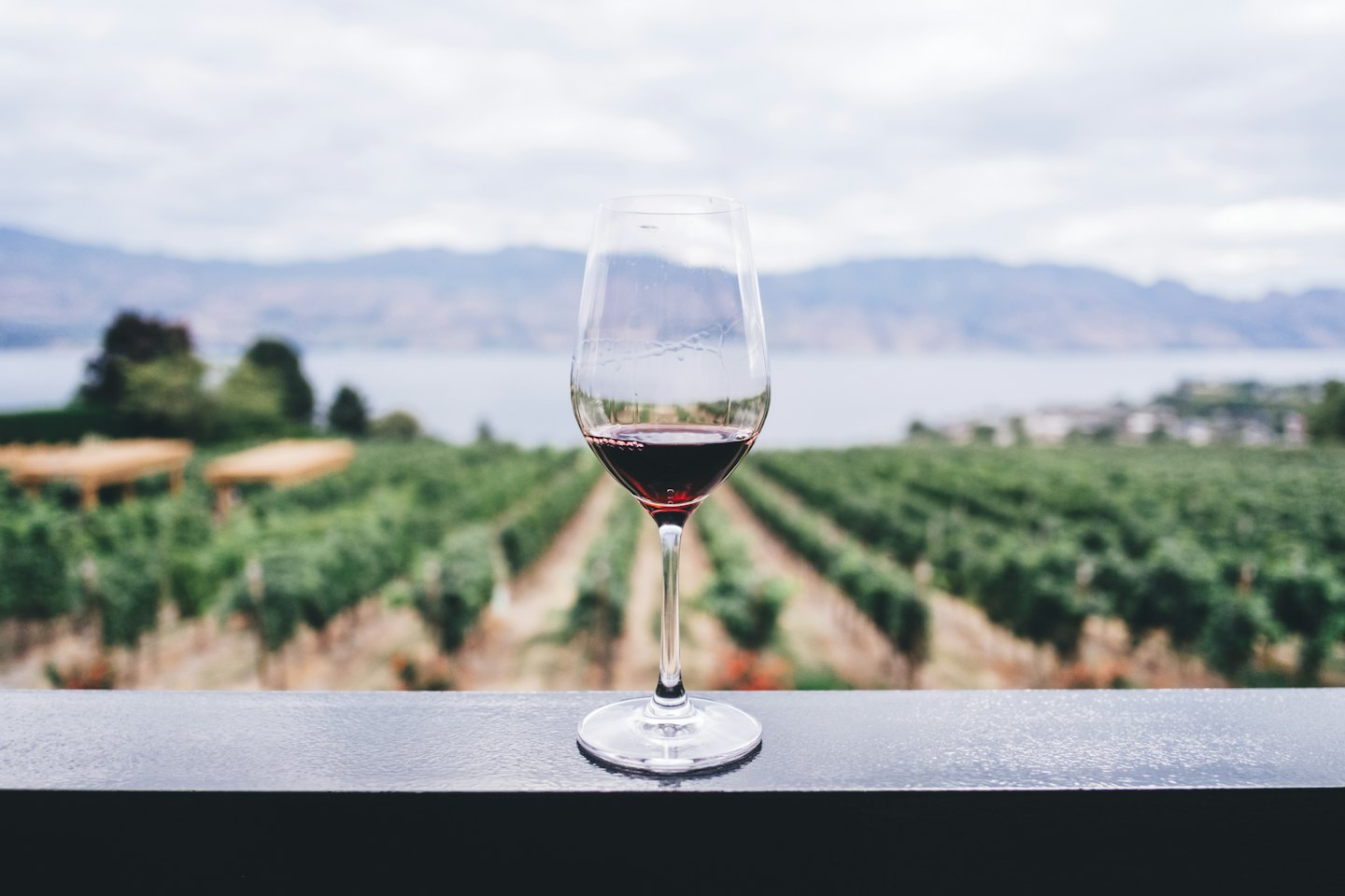 Bicchiere di vino rosso su una ringhiera con vista su un vigneto.