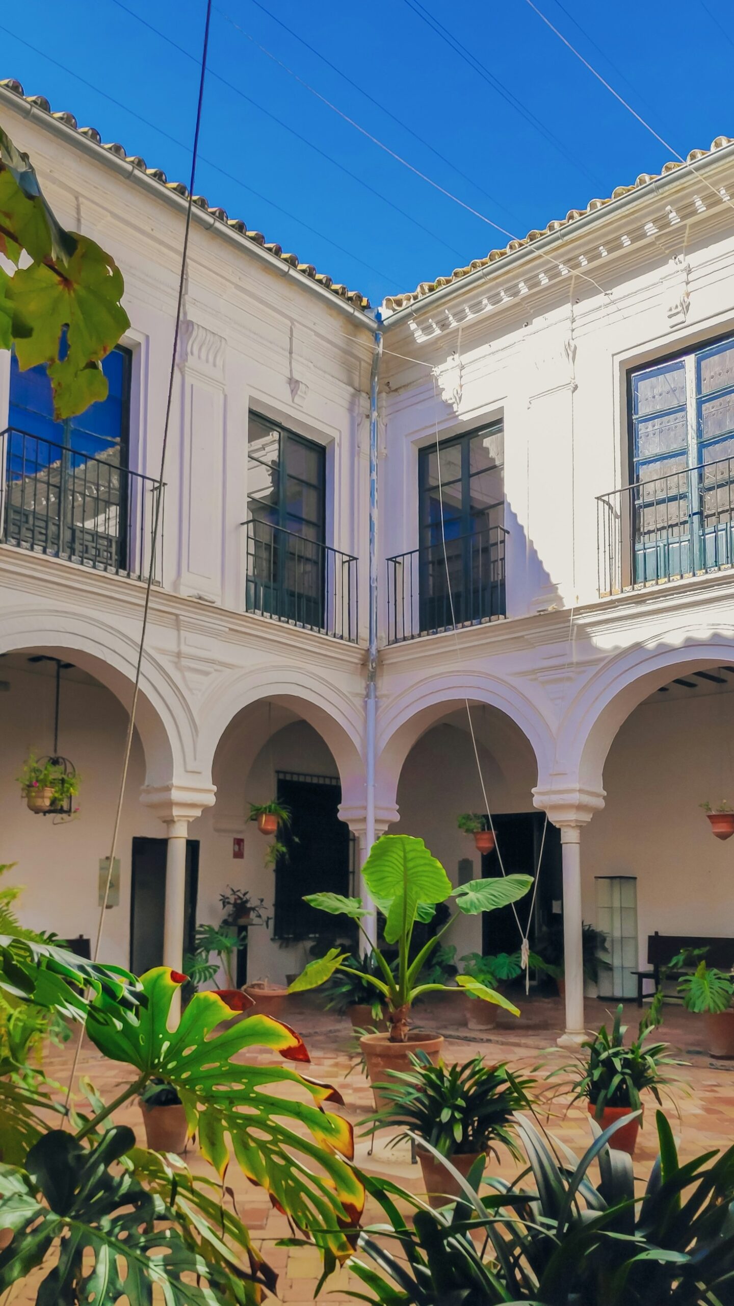Thermal Springs and Seaside Charms of Ischia